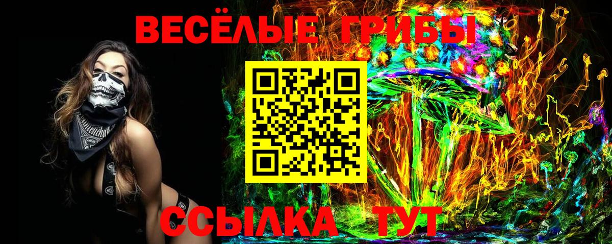 Псилоцибиновые грибы Magic Shrooms Дербент