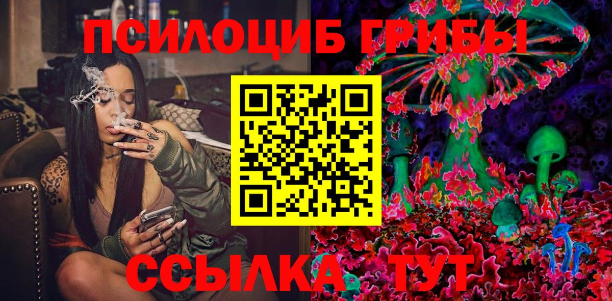 Дербент  Псилоцибиновые грибы Psilocybe  Вход с VPN 